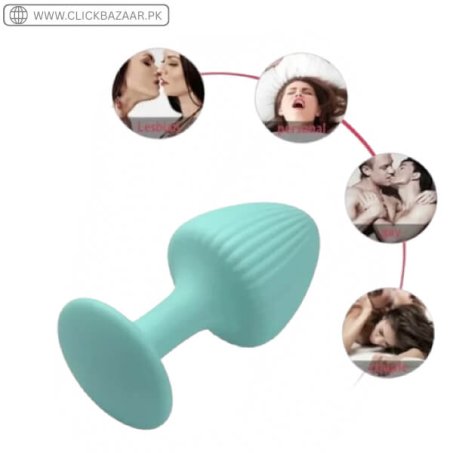 Backyard Tail Anal Plug In Pakistan